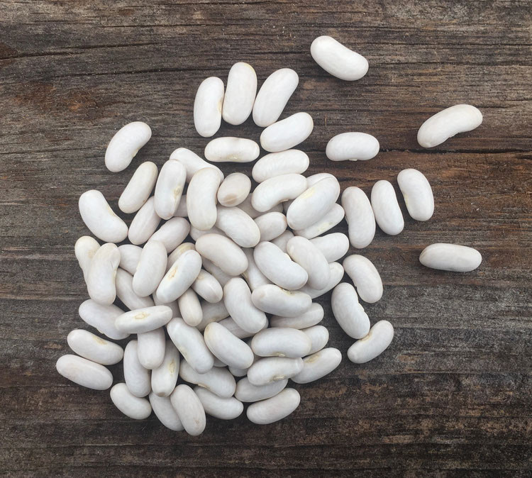 Cannellini Beans