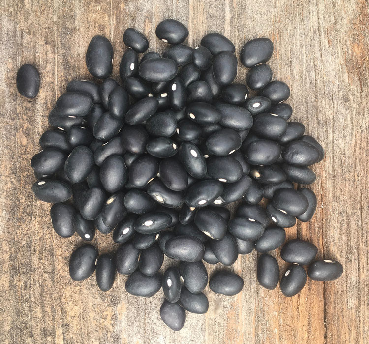 Black Turtle Beans