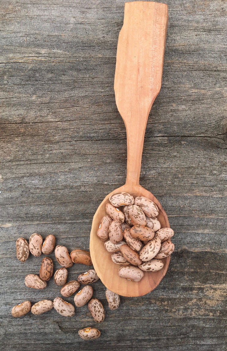 Pinto Beans
