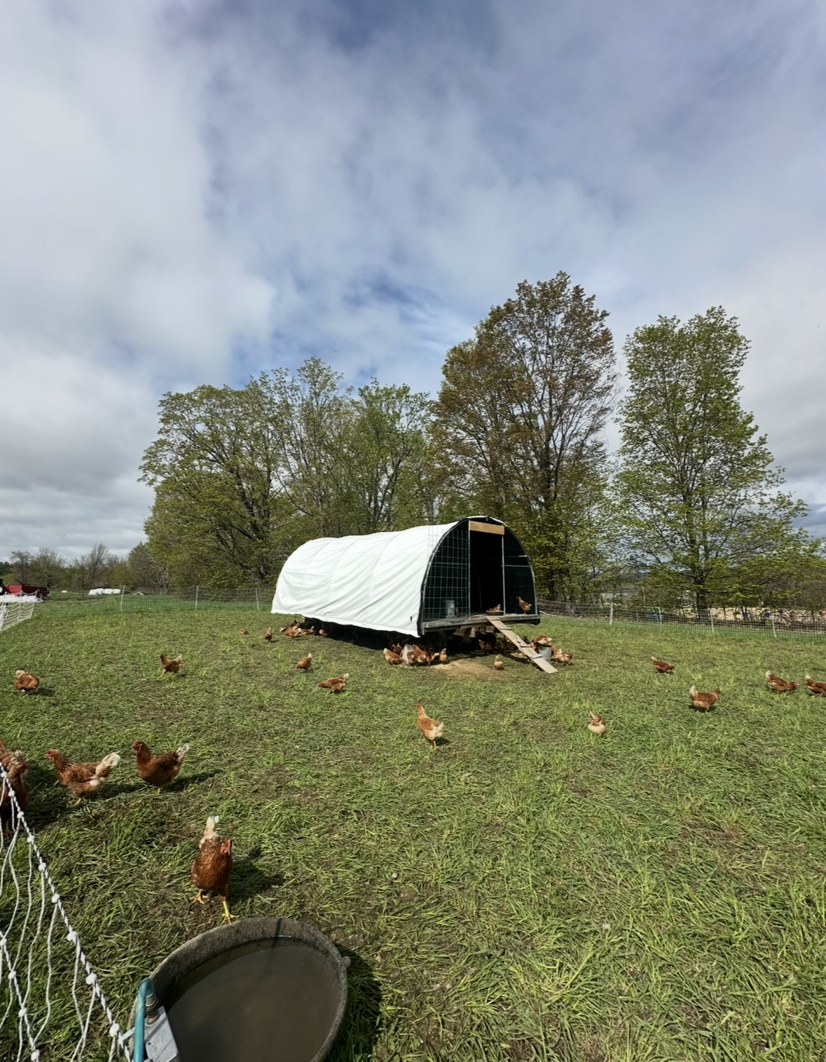 This week on the farm…
