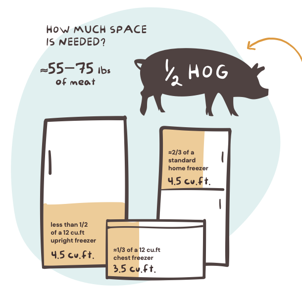 Half-Hog-Space.png