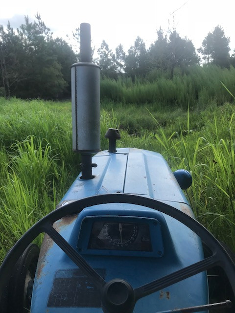 Image alt text