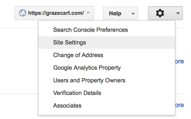 Google Site Settings