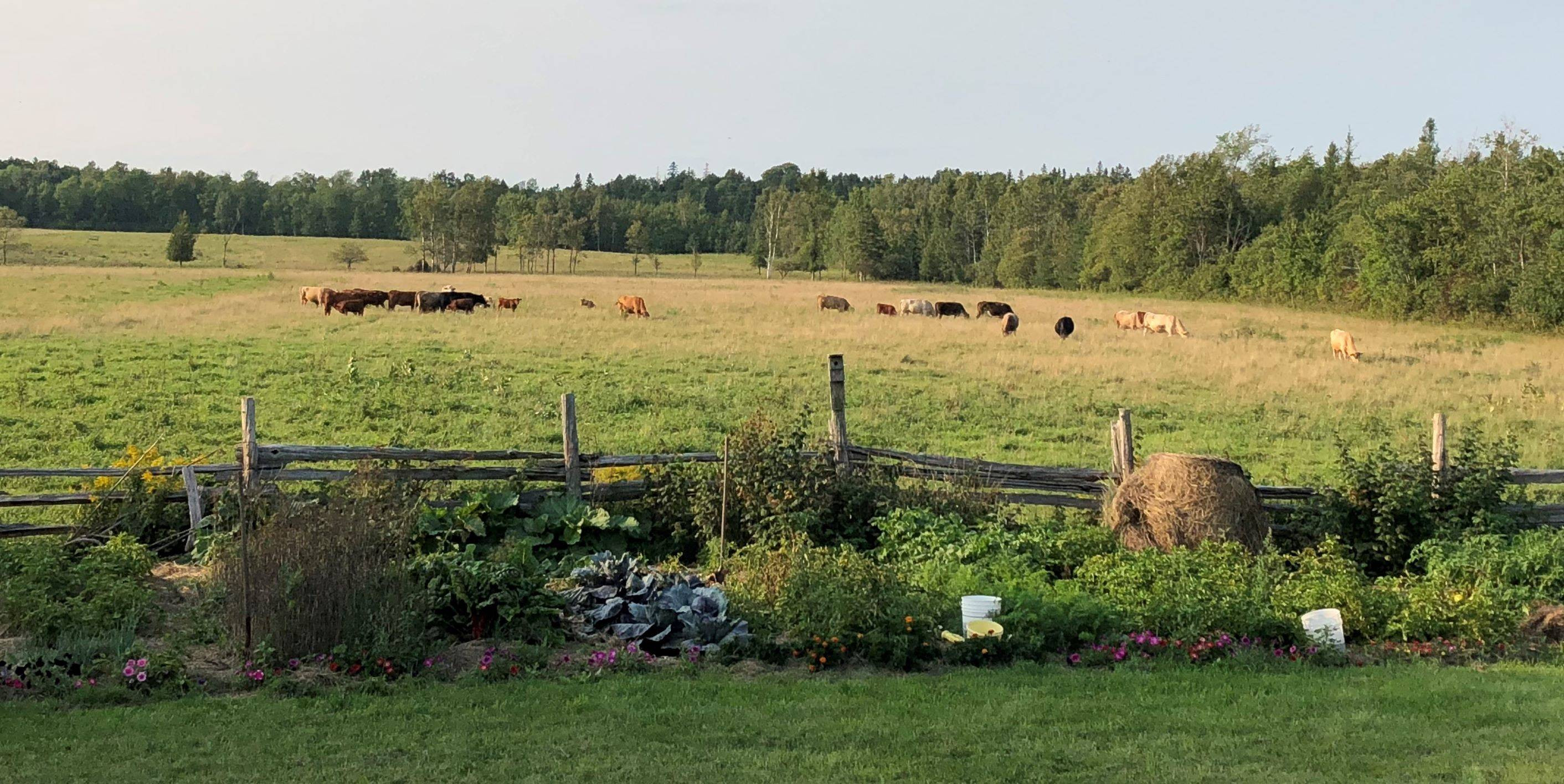 Agriculture and Climate Change: A Farmer's Perspective