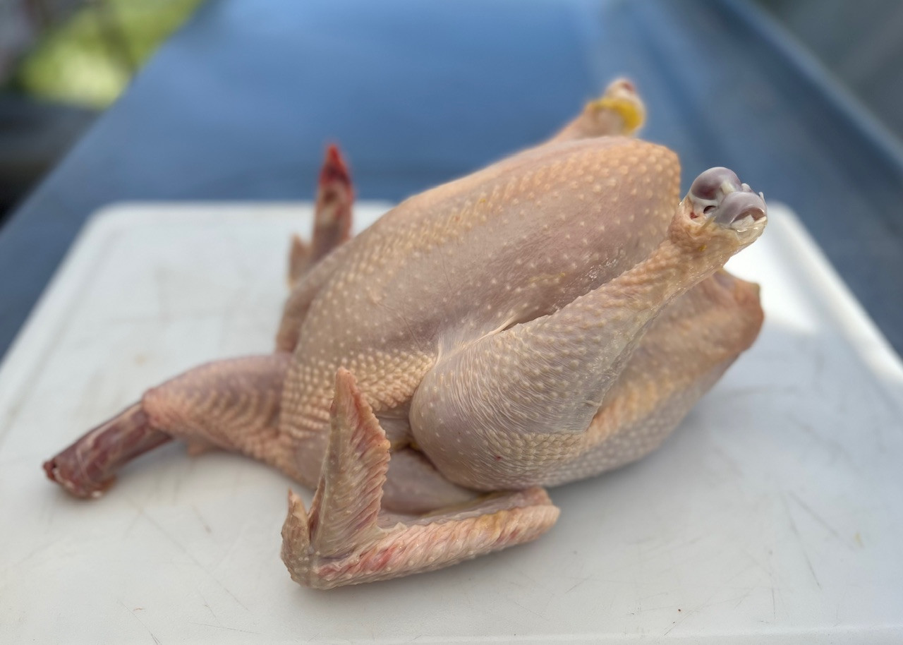 POULTRY
