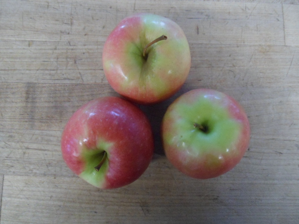 IPM Apples Pink Lady HARMONY ACRES