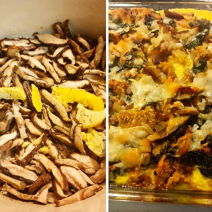 Mushroom Strata Honeymoon Farm