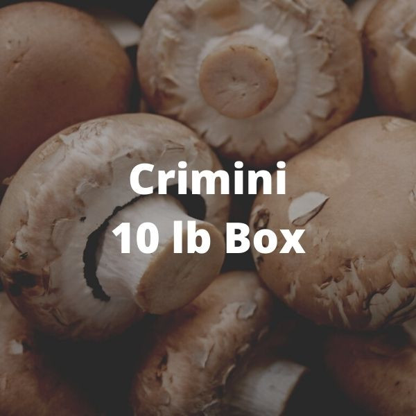 Crimini Mushrooms Honeymoon Farm