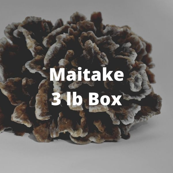 Maitake Mushrooms Honeymoon Farm