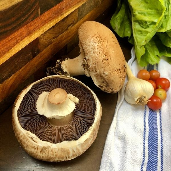 Portobello Mushrooms Honeymoon Farm