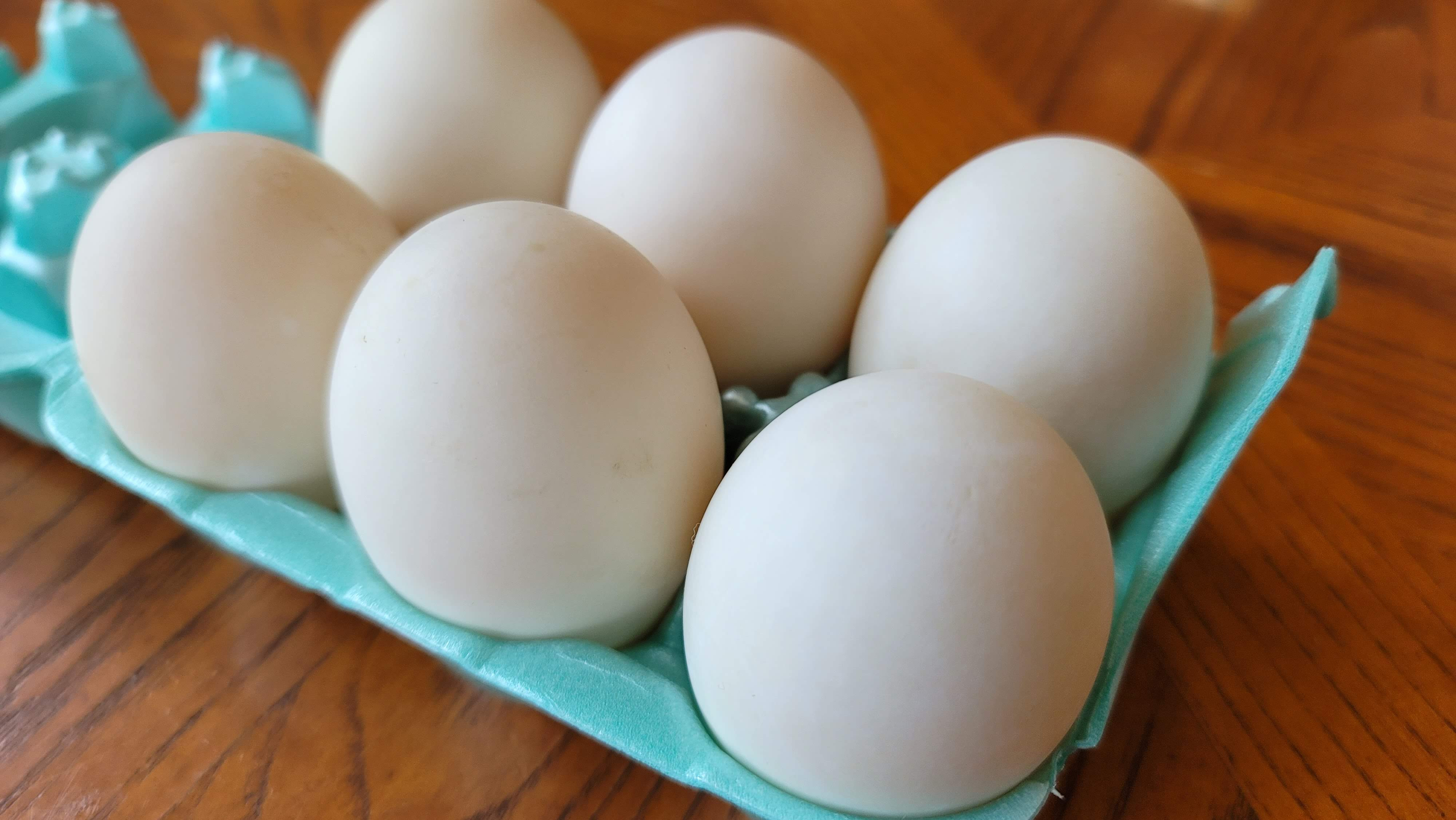 Duck Eggs 1/2 Dozen Honeysuckle Farm