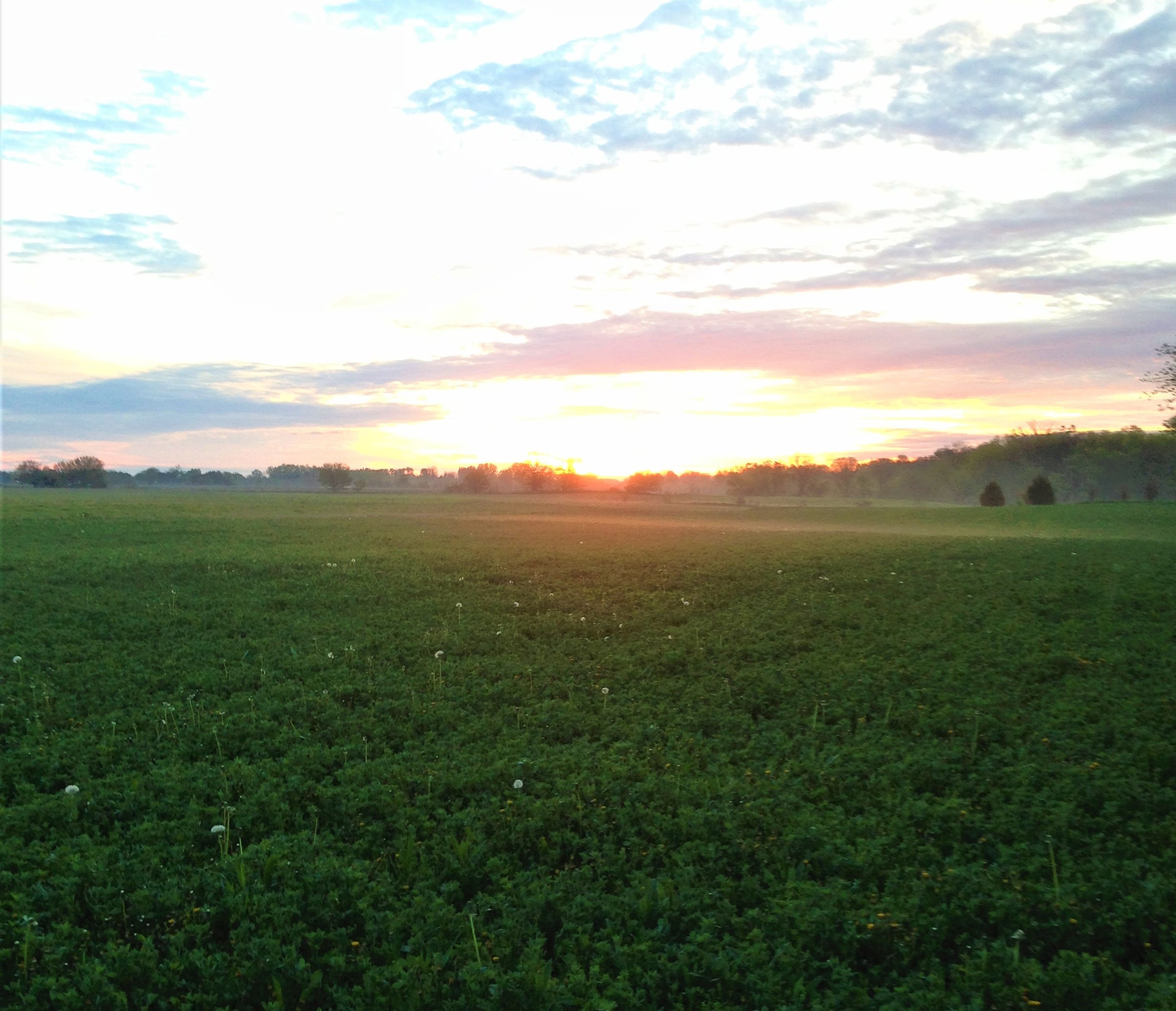 Hoosier Heritage Farm photo 25