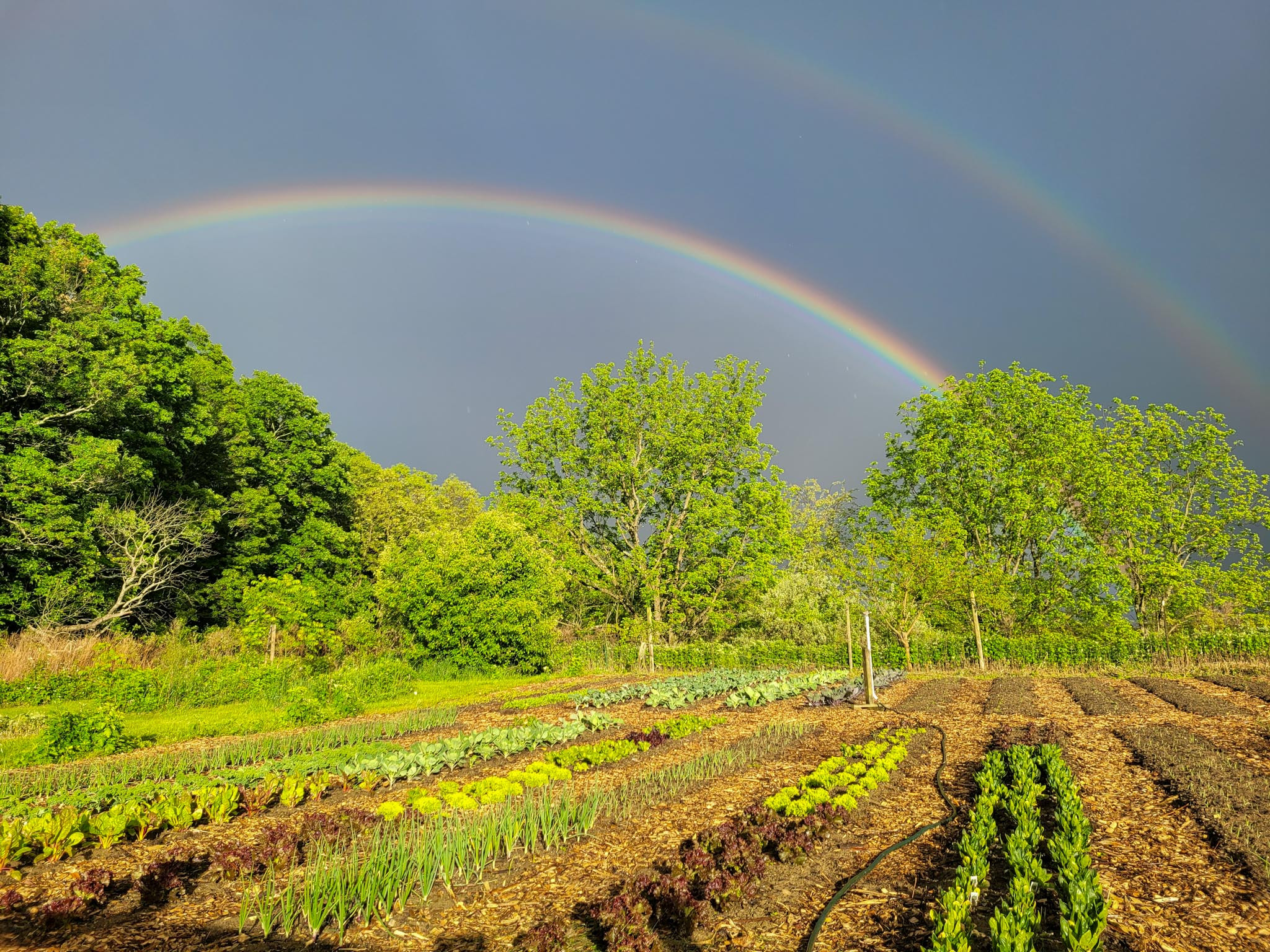MISC PRODUCTS FROM THE FARM