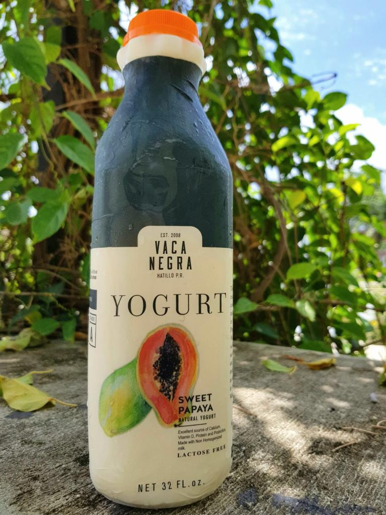 Papaya Yogurt