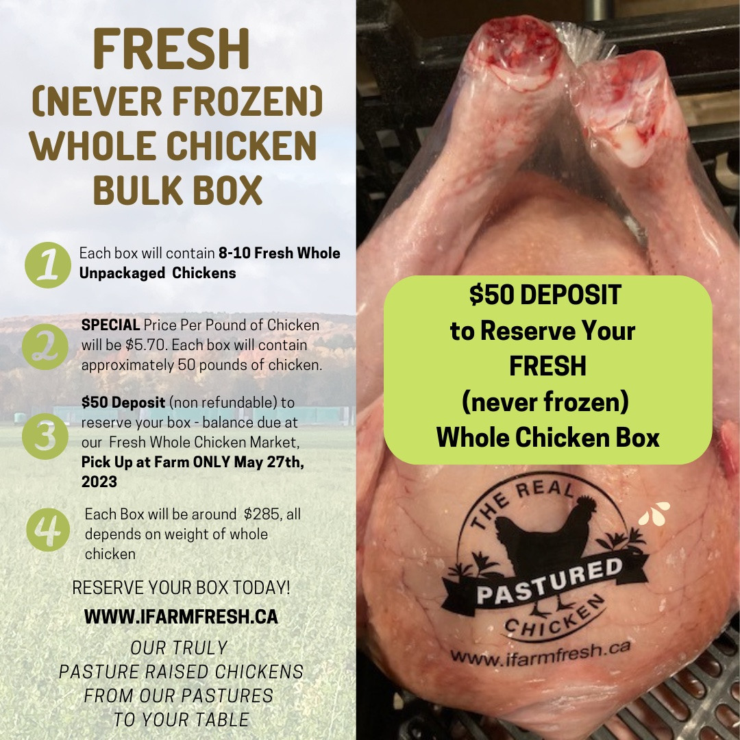 Chicken PreOrder FRESH (never frozen) UNPACKAGED Whole Chicken Bulk Box PICK UP AT FARM