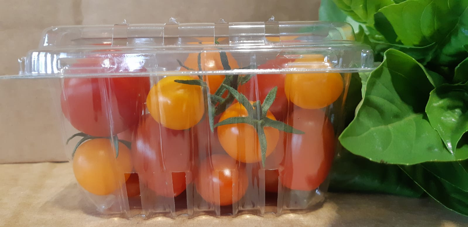 Cherry Tomatoes