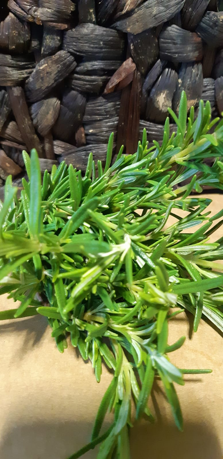 Rosemary