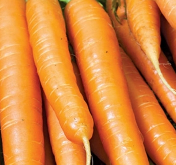 Carrots 4lb