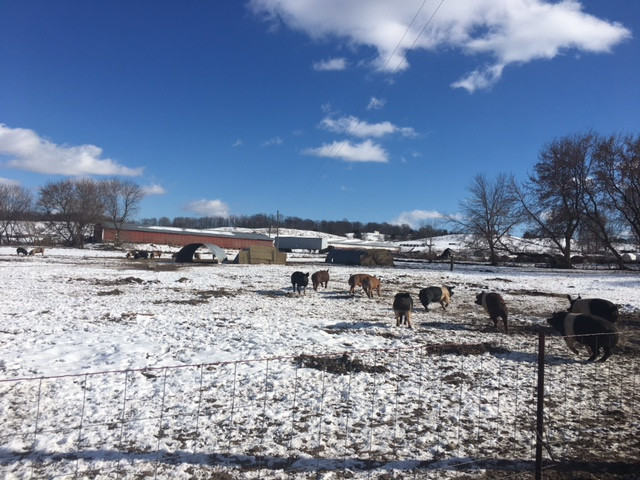 Winter On The Farm