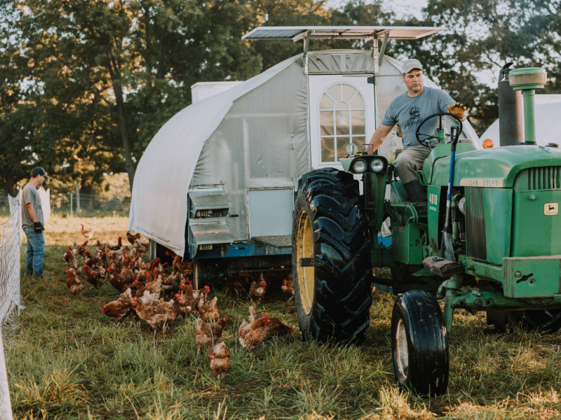 Is Vital Eggs full of Bull@#$% ?