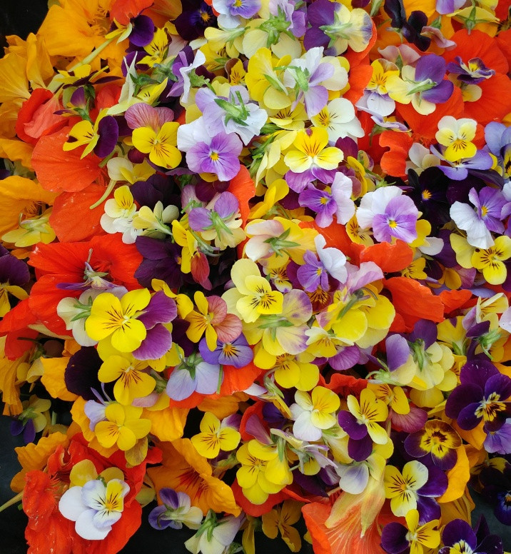Edible Flowers Kraay's Market & Garden