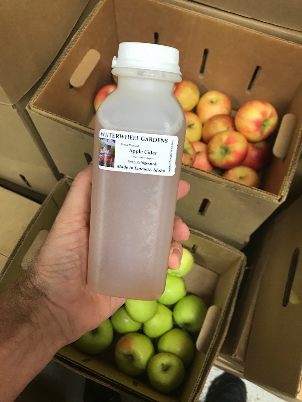 Apple Cider, Fresh, Pint WW Kraay's Market & Garden