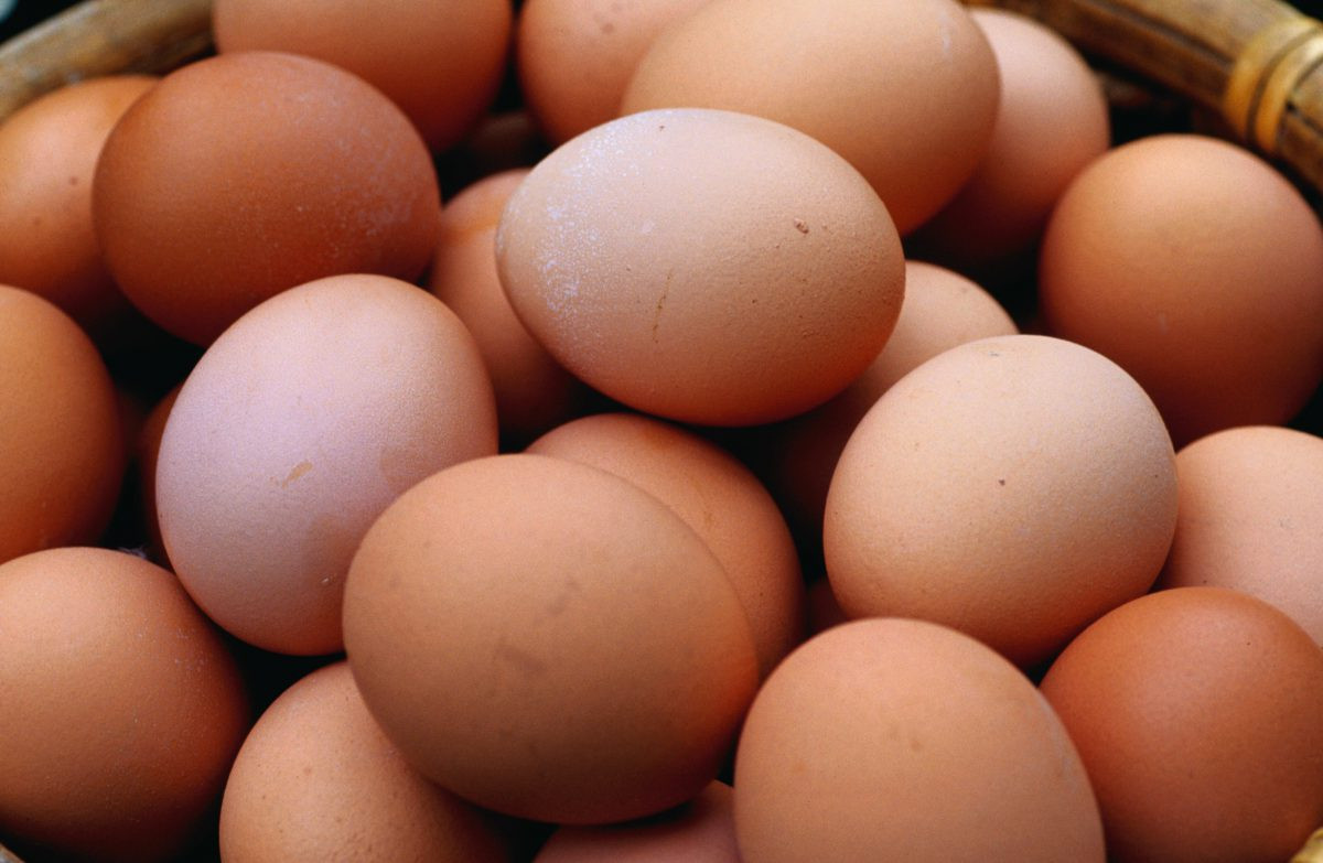 EGGS