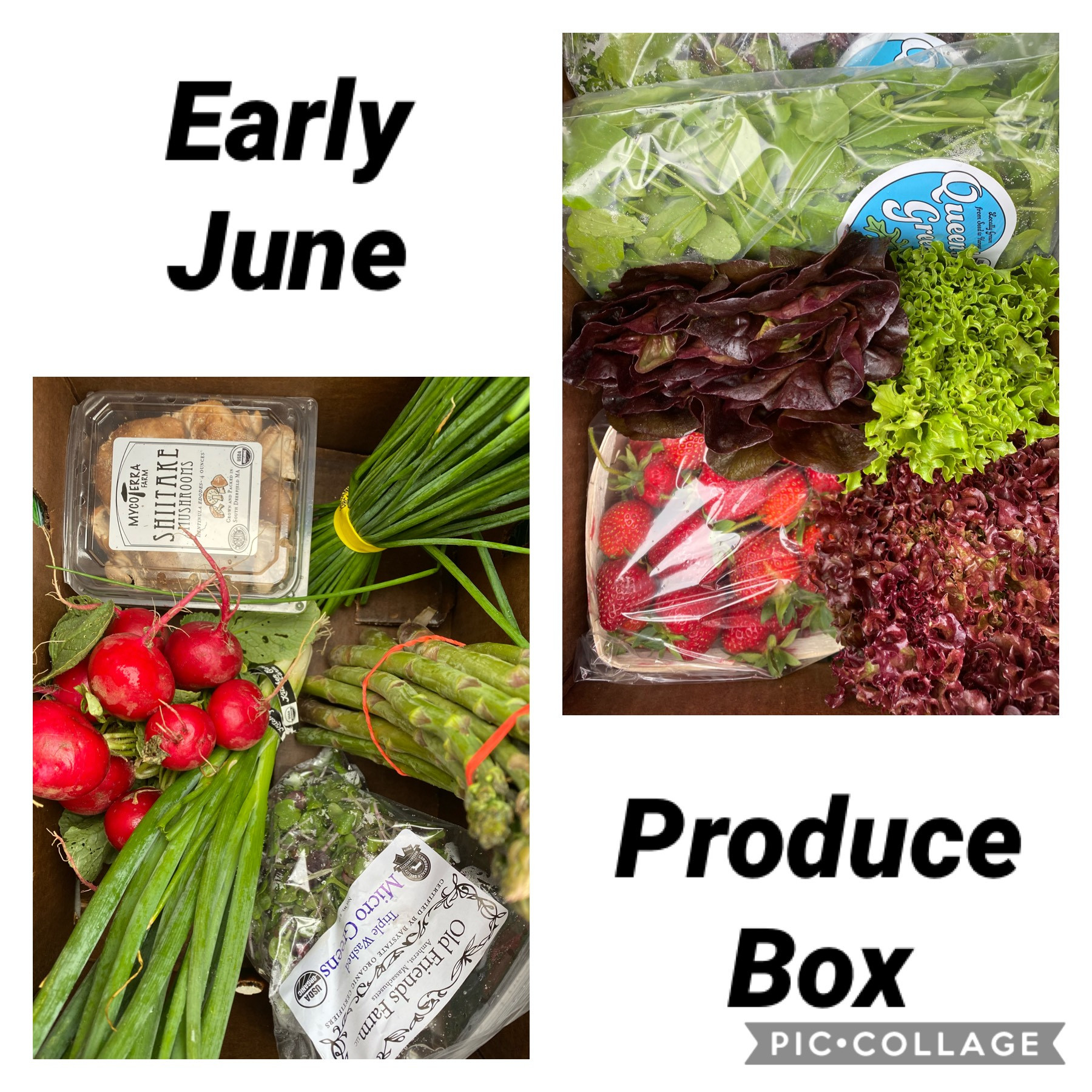 Mixed Seasonal Produce Box Lilac Hedge Farm