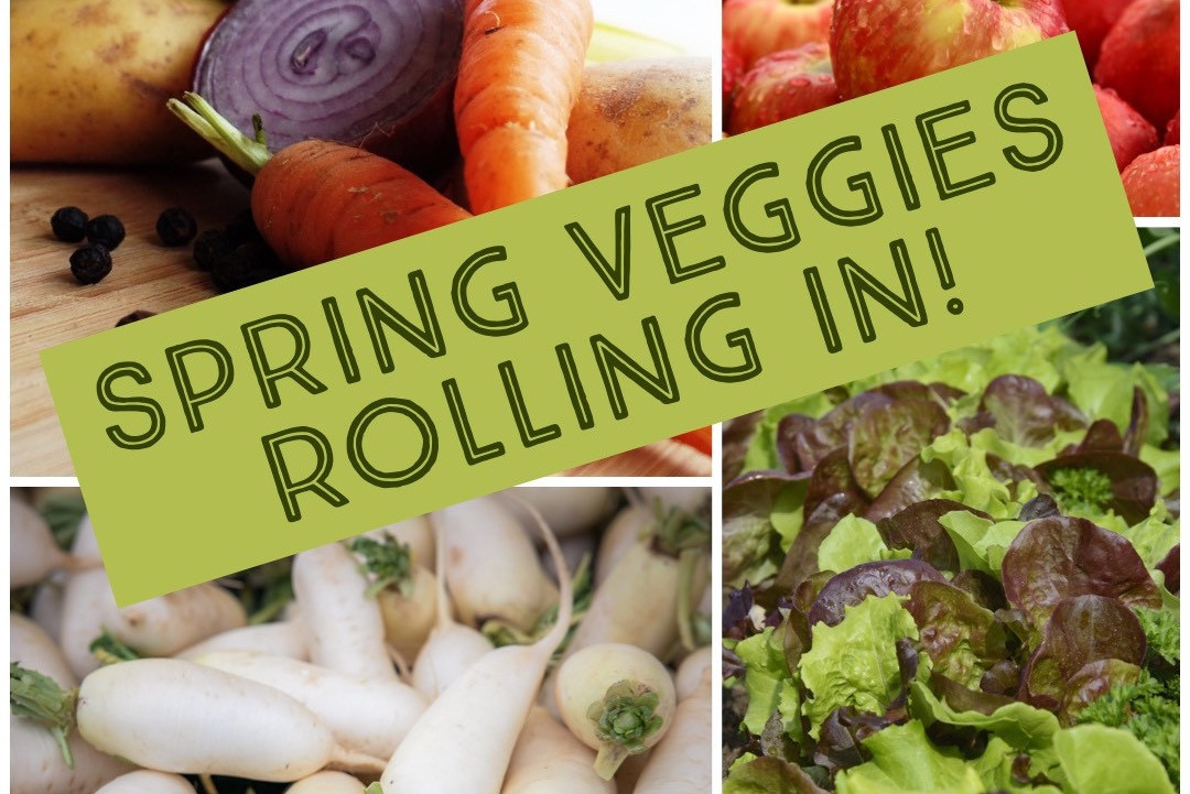 Mixed Seasonal Produce Box Lilac Hedge Farm