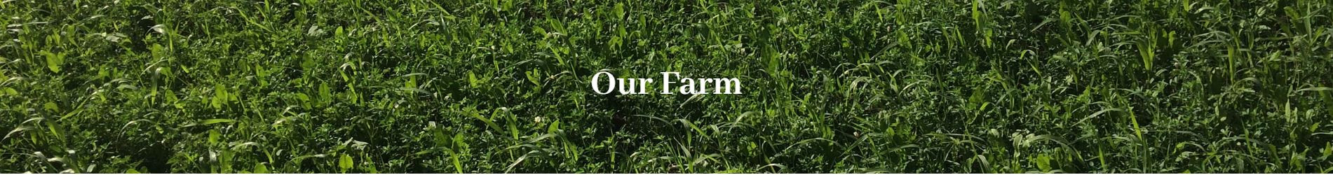 Our Farm