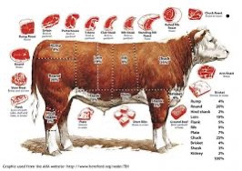 1/2 Pastured Beef Share