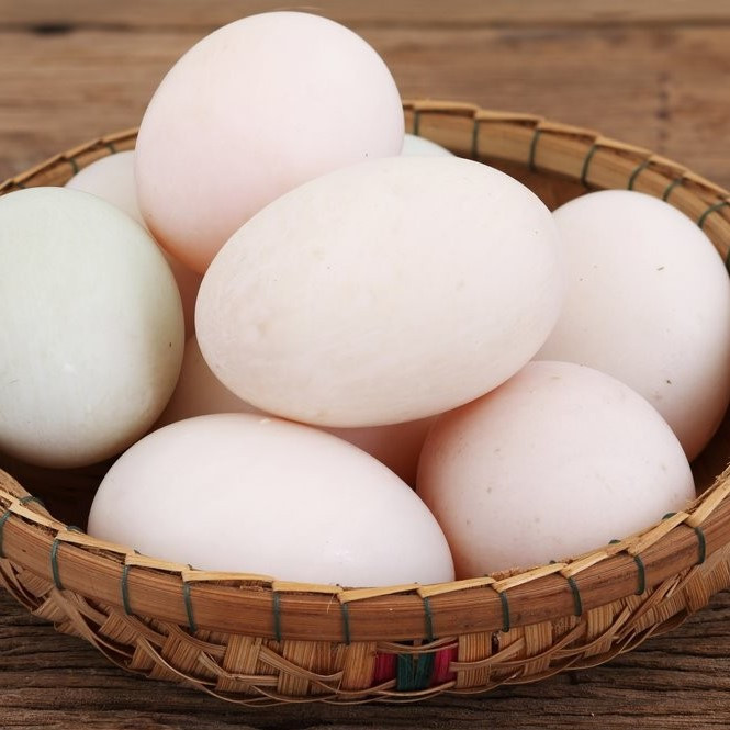 Eggs Duck Eggs (Dozen) Maddox Family Farms