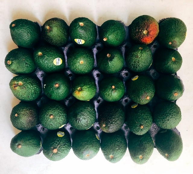 Organic Hass Avocados Mahaffey Farms