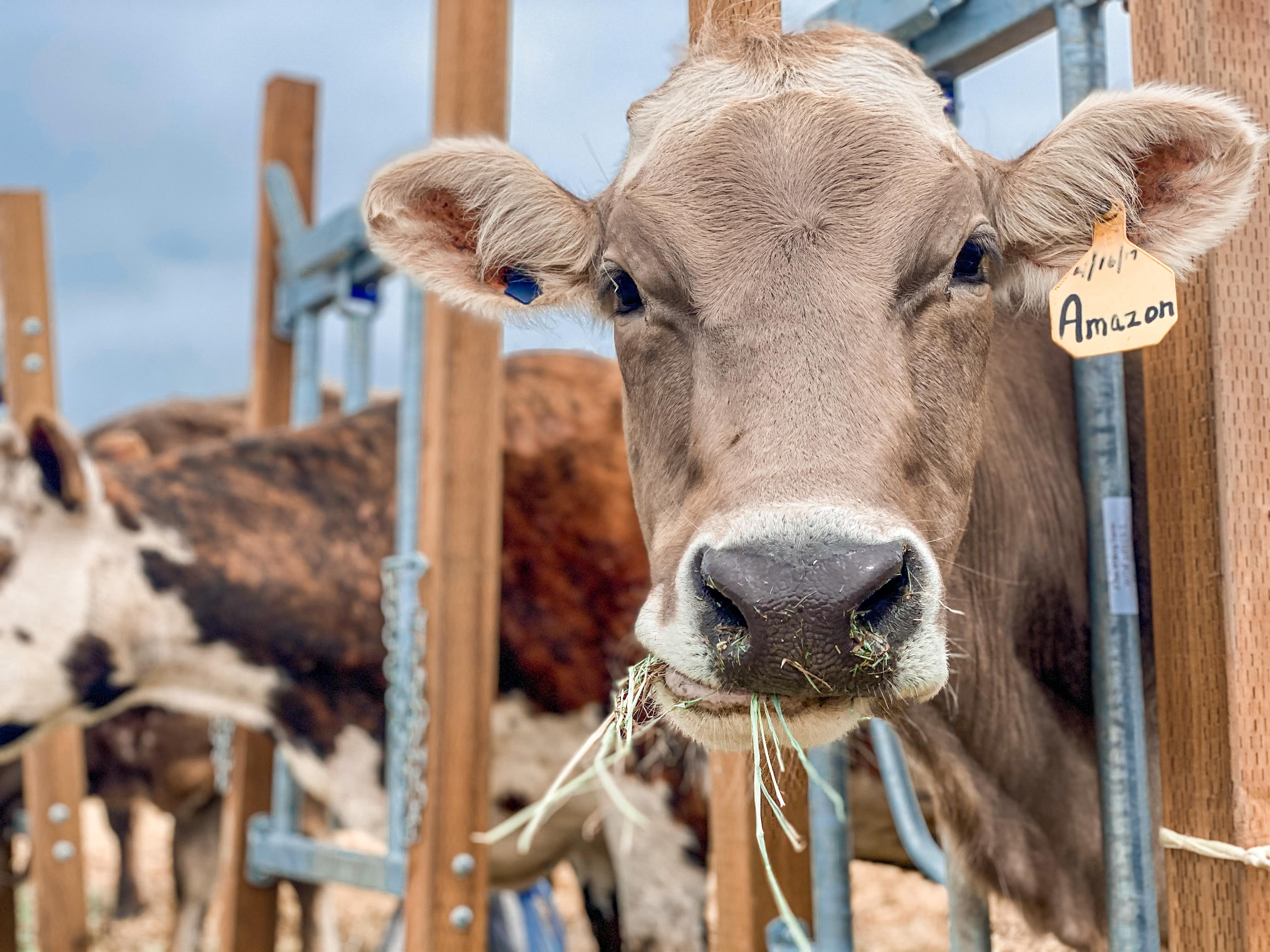 February 2025 Milk Quality Results