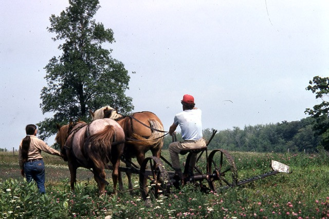 Image alt text