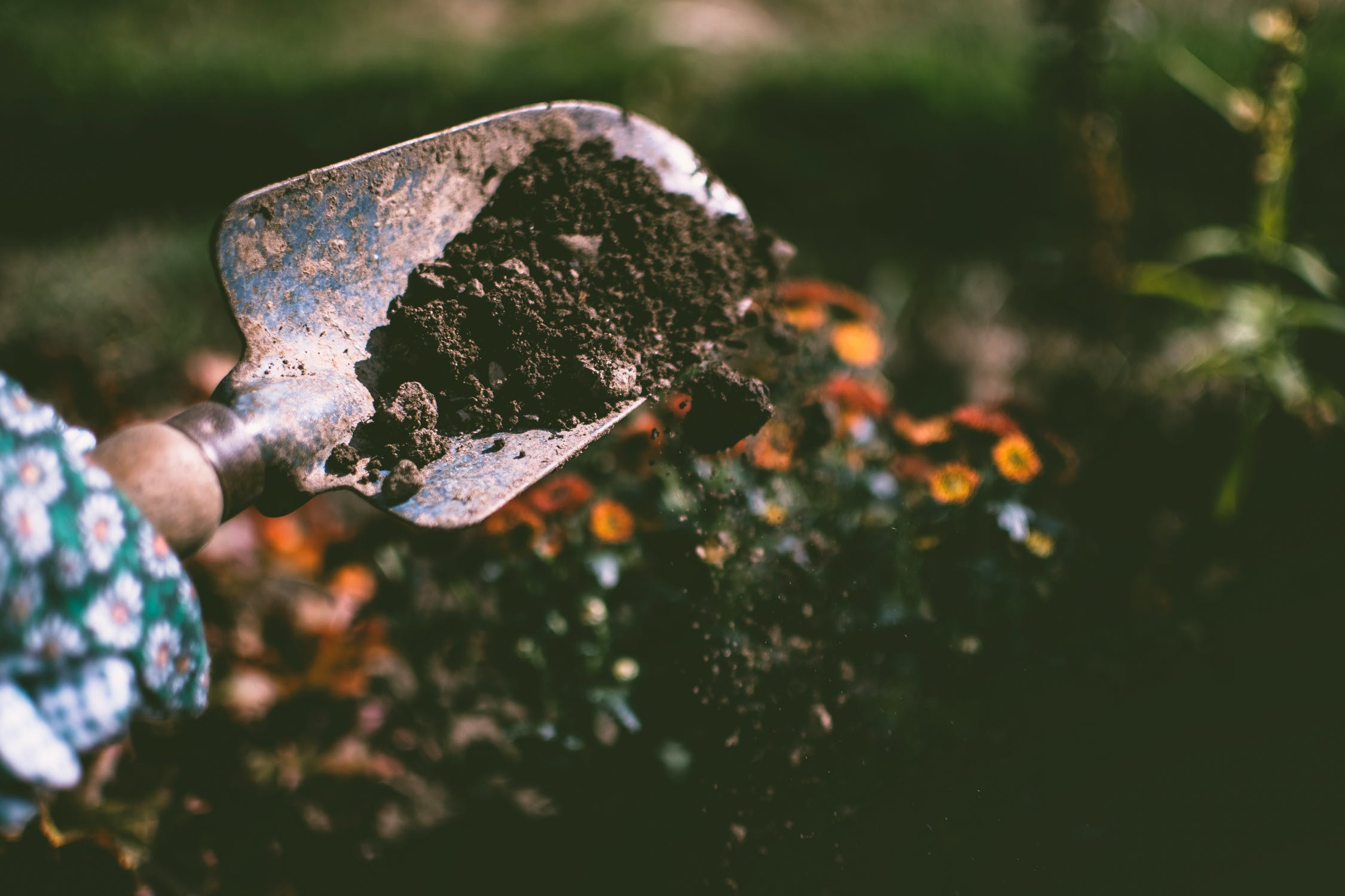 Does soil quality affect food value, and how to know if your food actually has value?