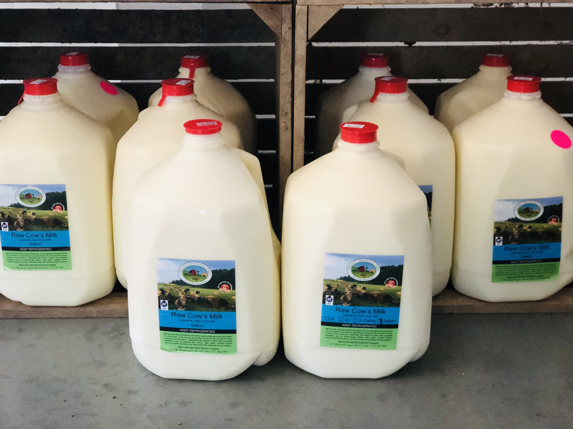 10 gallons A2 Milk Bundle Miller's Bio Farm