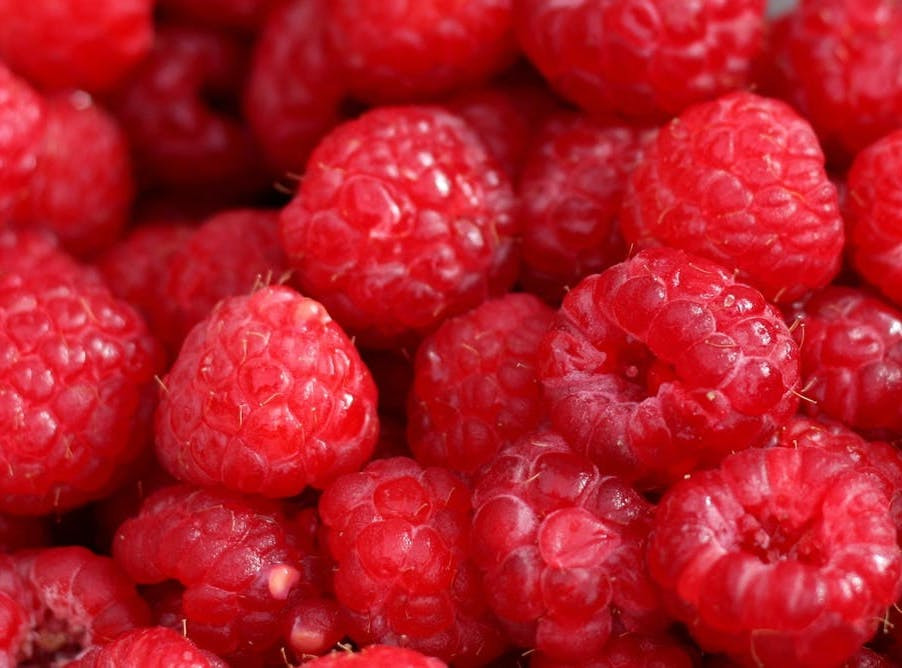 Raspberries, 1/2 pint Miller's Biodiversity Farm