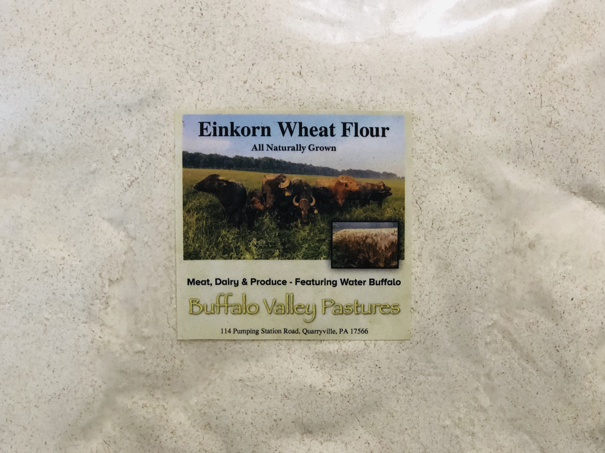 Whole Einkorn Flour, 5lb Miller's Bio Farm