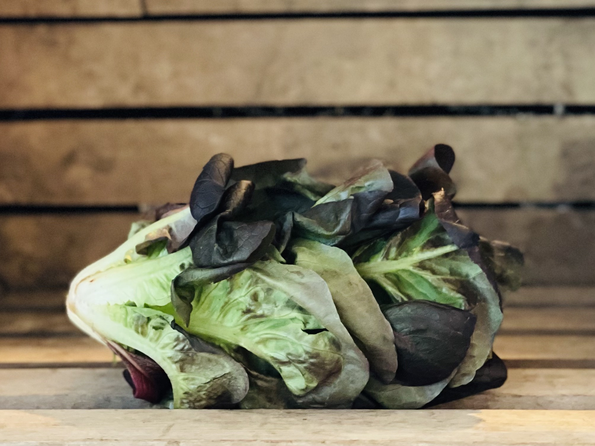 Little Gem Romaine Lettuce (2 head)
