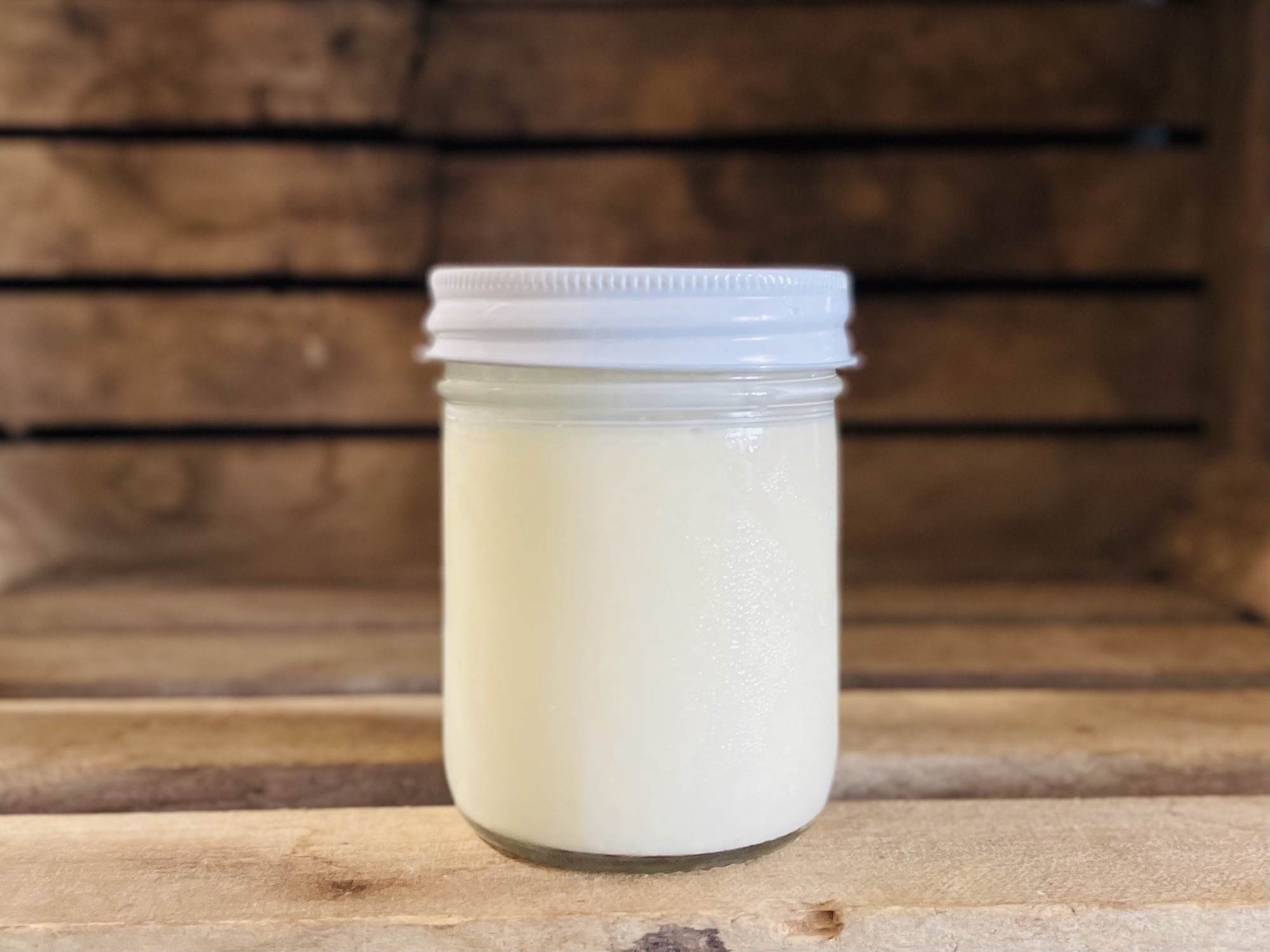Raw Kefir Grains, 1 teaspoon