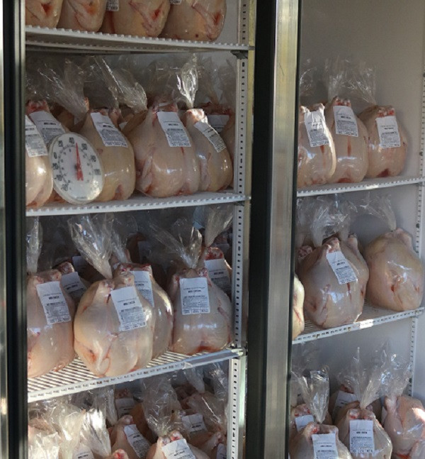 Chicken Whole Chicken Bulk order of 20 Neiffer Ranch