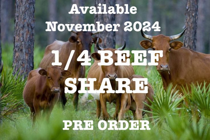 1/4 Beef Final Payment main image 0