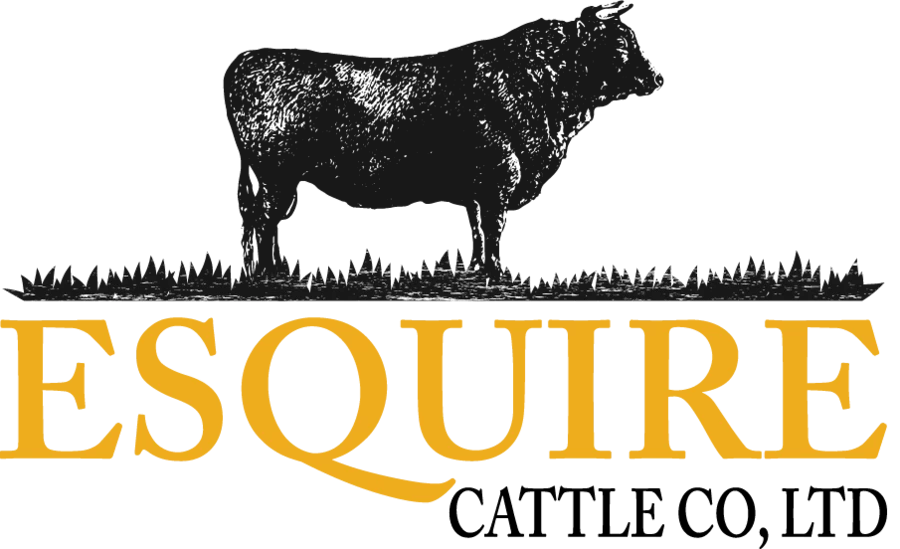 Esquire Cattle Company