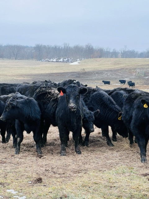 Your freezer called. Its not ready for grilling season!