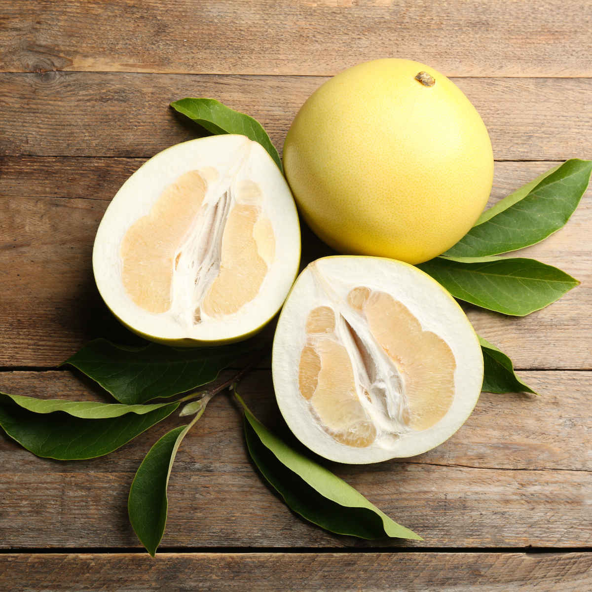 Pummelo Grapefruit Peggotty Provisions