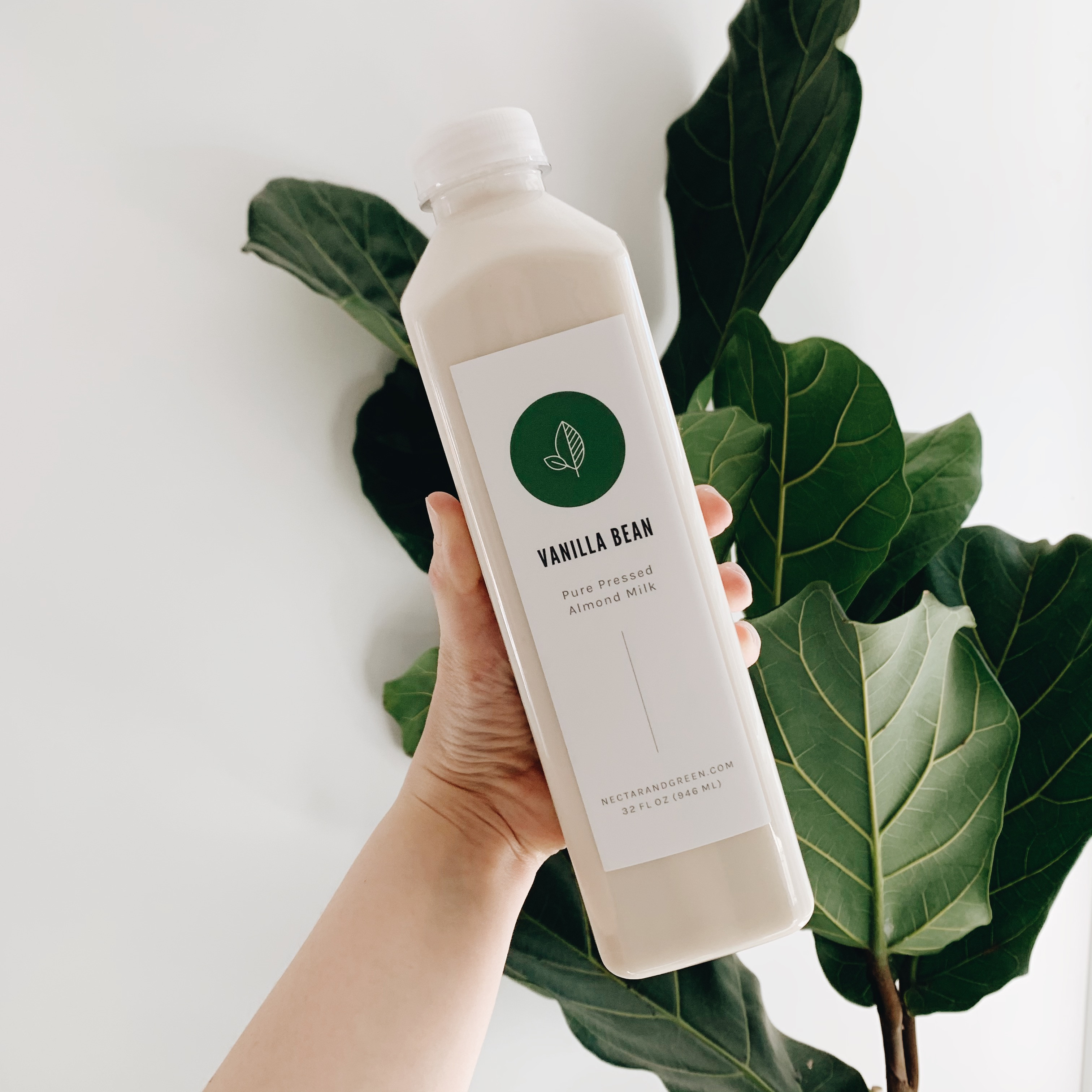 Nectar & Green Vanilla Bean Almond Milk Peggotty Provisions