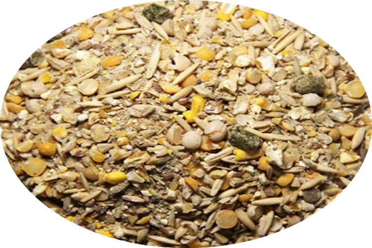 New Country Organics Cattle Feed, 14 Protein P.O.P. Acres