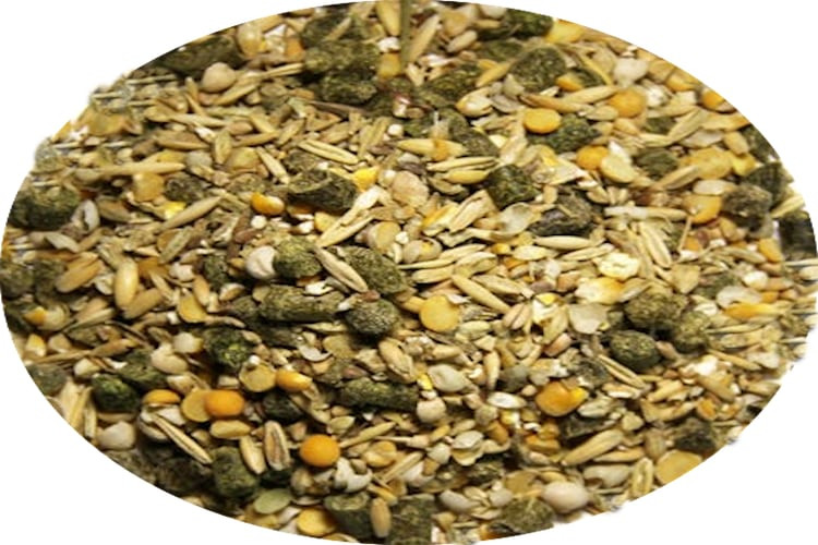 New Country Organics Goat Feed, 15 Protein P.O.P. Acres