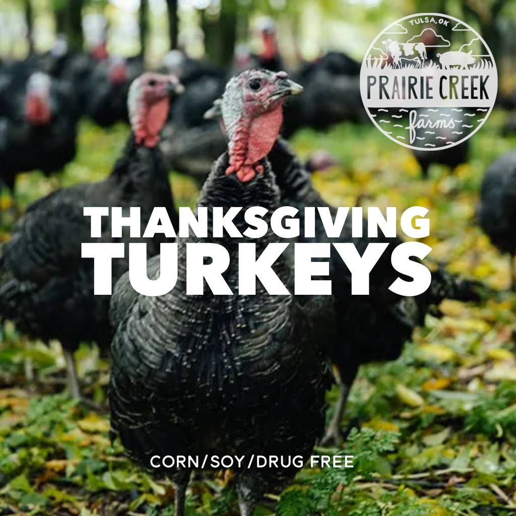 Pasture Raised Whole Turkey (Pre-Order 2025) - PICK UP ONLY